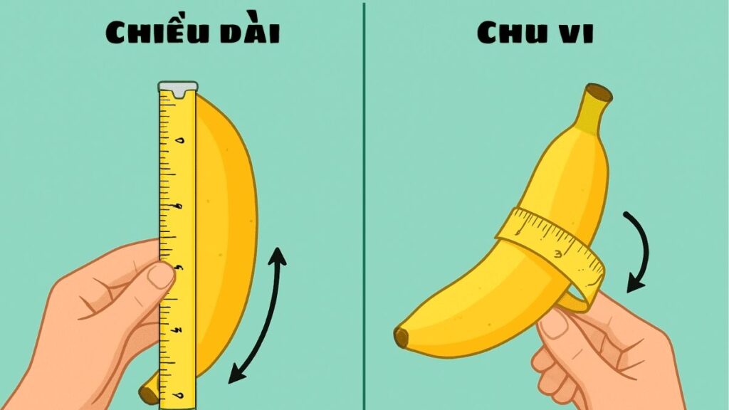 Cách đo chu vi dương vật để chọn size bao cao su