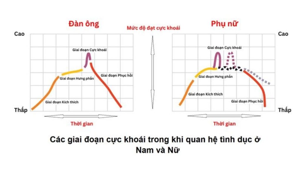 Thang mức hưng phấn giúp kiểm soát xuất tinh